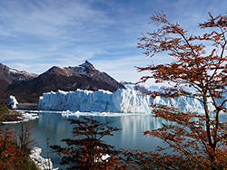 El Calafate-0